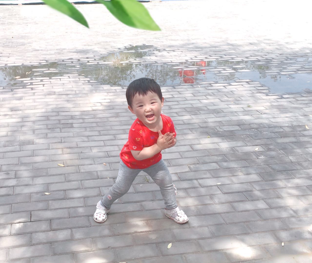 杨梓仪纪念馆